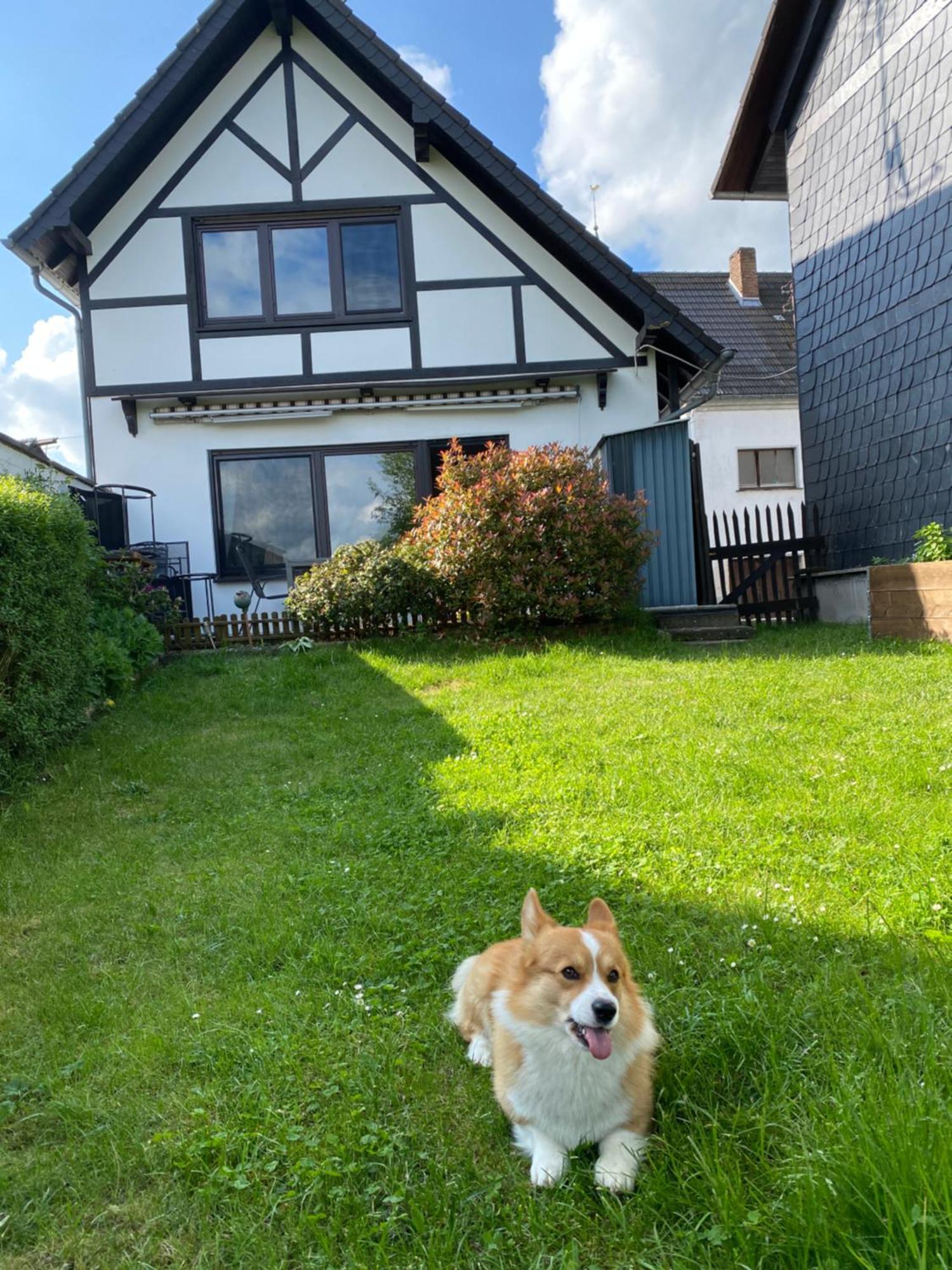 Eifel Ferienhaus Luna Ohlenhard 외부 사진